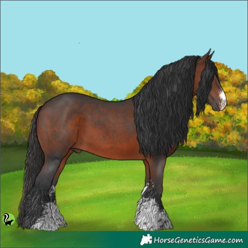 Horse Color:Brown Sabino 