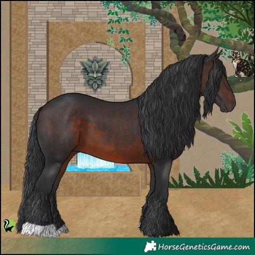 Horse Color:Brown 