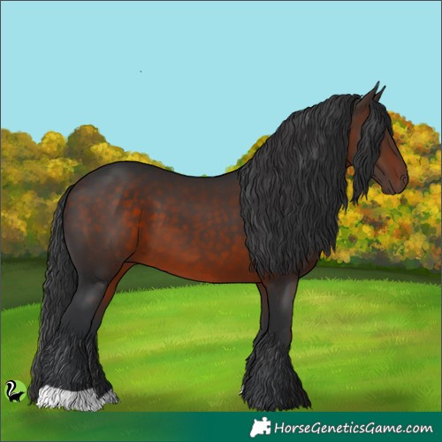 Horse Color:Brown 