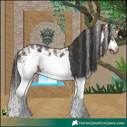 Horse Color:Bay Sabino Frame 