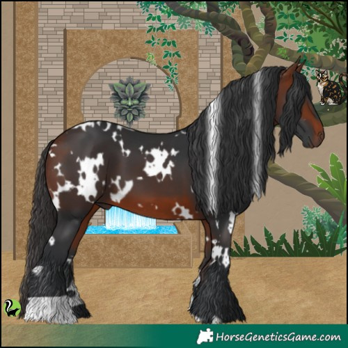 Horse Color:White Spotted Bay 
