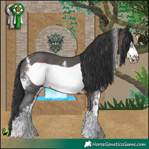 Horse Color:Brown Sabino Frame 