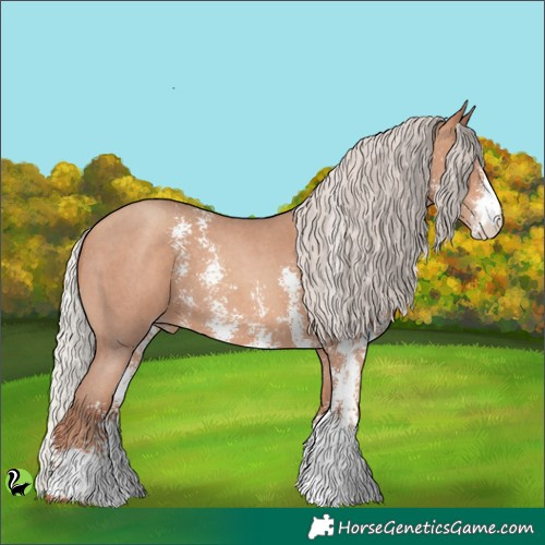 Horse Color:Silver Sable Champagne Sabino 