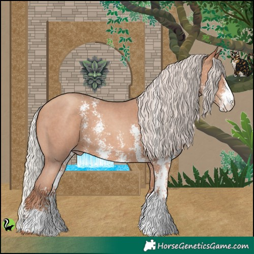 Horse Color:Silver Sable Champagne Sabino 