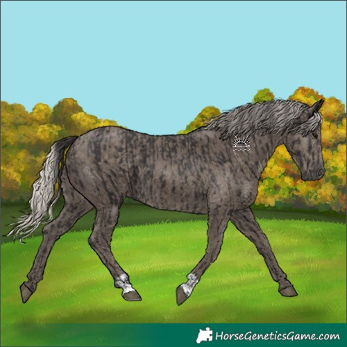 Horse Color:Smoky Black and Silver Smoky Black