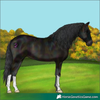 Horse Color:Midnight Blue Onyx 