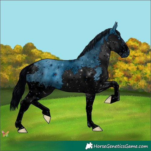 Horse Color:ERROR: UNKNOWN ANOMALY