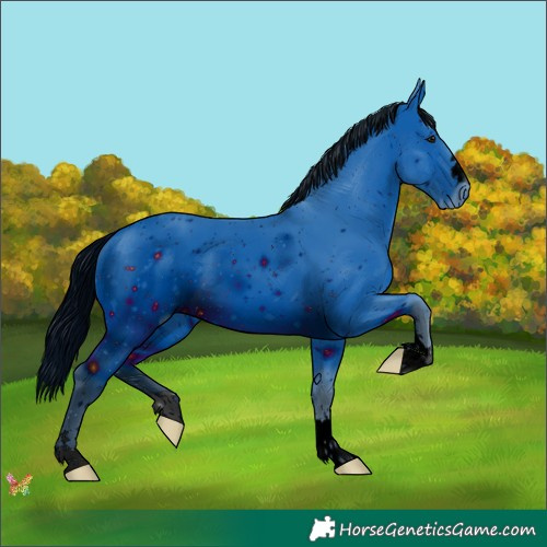 Horse Color:ERROR: UNKNOWN ANOMALY