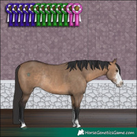 Horse Color:Brown Dun Sabino Rabicano