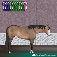 Horse Color:Brown Dun Sabino Rabicano
