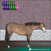 Horse Color:Brown Dun Sabino Rabicano