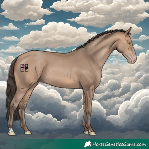 Horse Color:Amber Champagne 