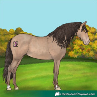 Horse Color:Amber Champagne 