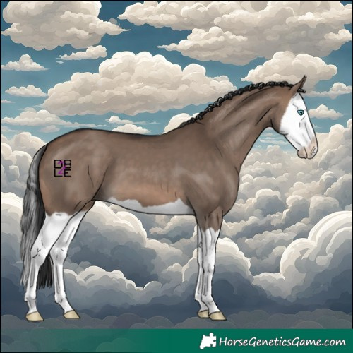 Horse Color:Brown Dun Splash