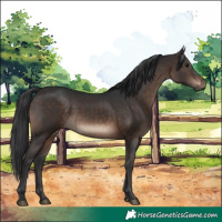 Horse Color:Brown 