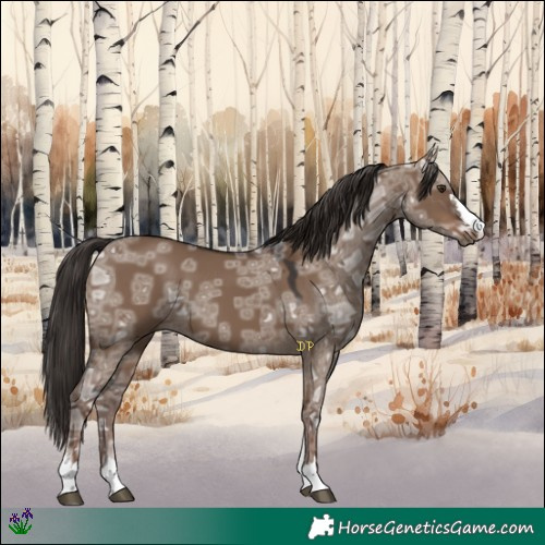 Horse Color:Liver Red Dun Ice 