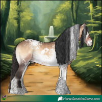 Horse Color:White Spotted Brown Onyx 