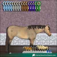 Horse Color:Buckskin Dun 