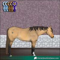 Horse Color:Buckskin Dun 