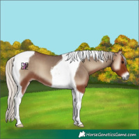 Horse Color:Silver Blue Onyx Tobiano 