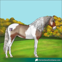 Horse Color:Silver Blue Onyx Tobiano