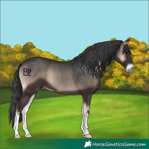 Horse Color:Blue Onyx 
