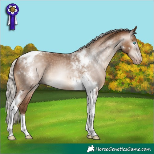 Horse Color:Gray Silver Amber Champagne Tobiano Varnish