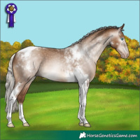 Horse Color:Gray Silver Amber Champagne Tobiano Varnish 