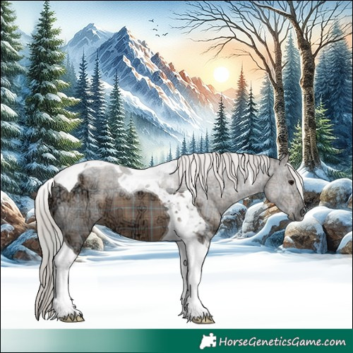 Horse Color:Plaid  Silver Black Ice Tobiano 