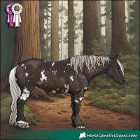 Horse Color:White Spotted Silver Brown 
