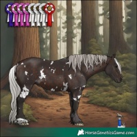 Horse Color:White Spotted Silver Brown 