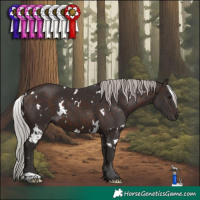 Horse Color:White Spotted Silver Brown