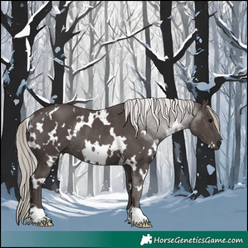 Horse Color:White Spotted Silver Black Rabicano 