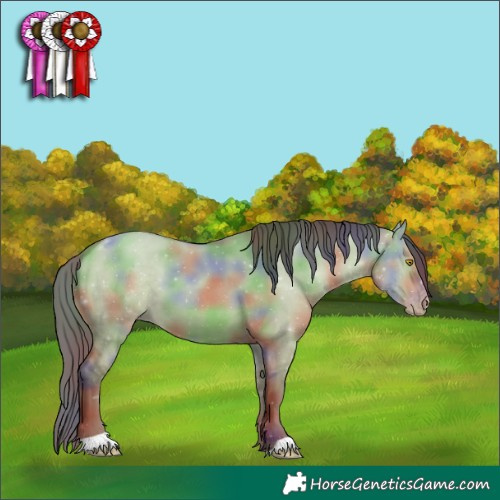 Horse Color:Nacre Sable Champagne Dun 