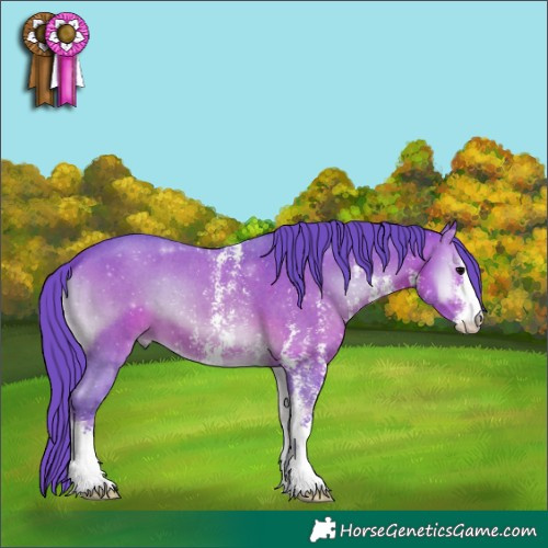 Horse Color:Watercolor Brown Onyx Sabino 