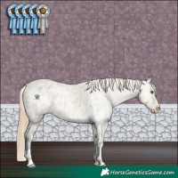 Horse Color:Buckskin Dun Appaloosa