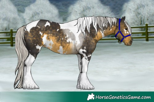 Horse Color:White Spotted Silver Buckskin Tobiano
