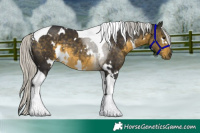 Horse Color:White Spotted Silver Buckskin Tobiano