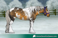 Horse Color:White Spotted Silver Buckskin Tobiano 