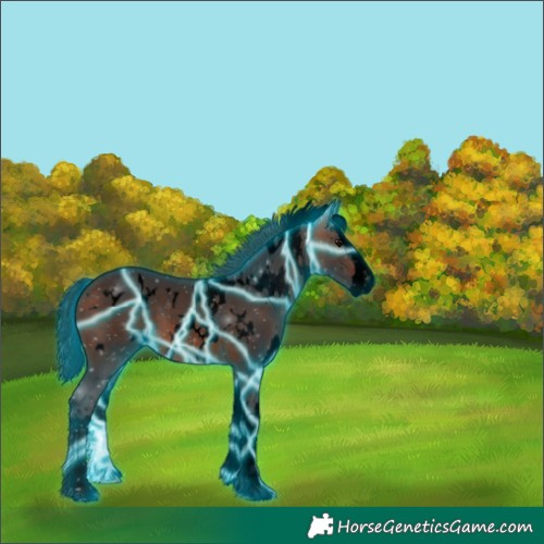 Horse Color:Void Thunderstruck White Spotted Bay Splash 