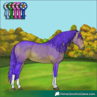 Horse Color:Watercolor Bay Tobiano Rabicano 