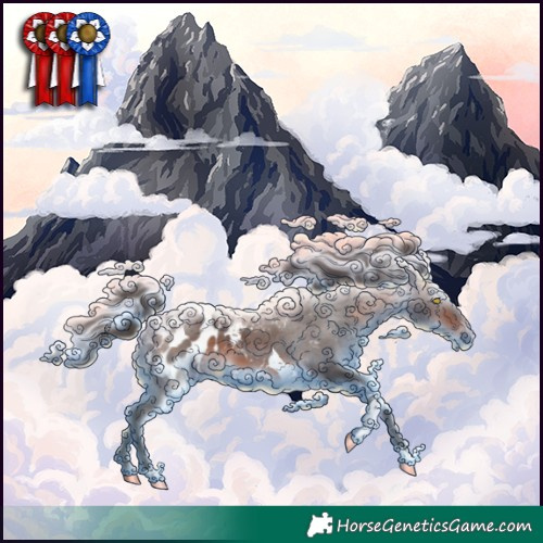 Horse Color:Bay Tobiano Blanket Rabicano
