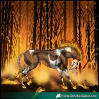 Horse Color:Gray Amber Champagne Tobiano 