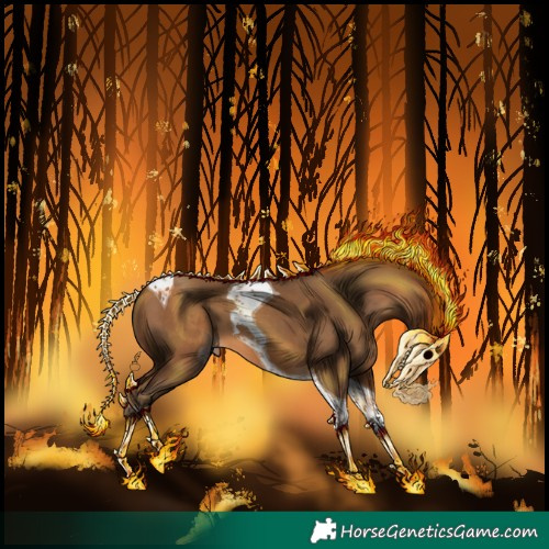 Horse Color:Gray Amber Champagne Tobiano 