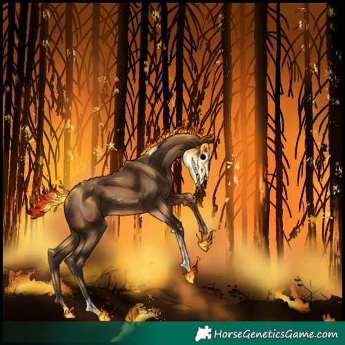 Horse Color:Gray Amber Champagne Tobiano 