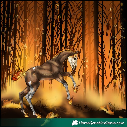 Horse Color:Gray Amber Champagne Tobiano 