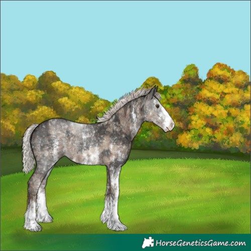 Horse Color:Plaid  Silver Black Ice Pearl Sabino 