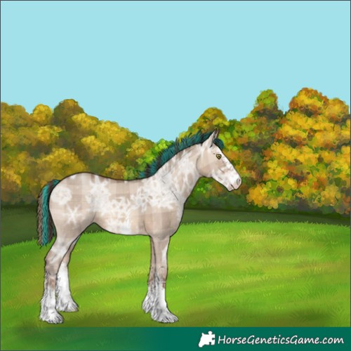 Horse Color:Painted Plaid  Sable Champagne Ice Dun Sabino 