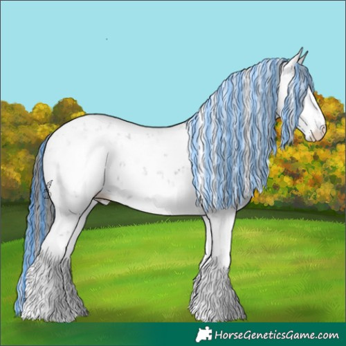 Horse Color:Painted Plaid  Sable Champagne Chinchilla Ice Dun Sabino 