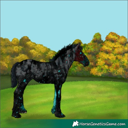 Horse Color:ERROR: UNKNOWN ANOMALY